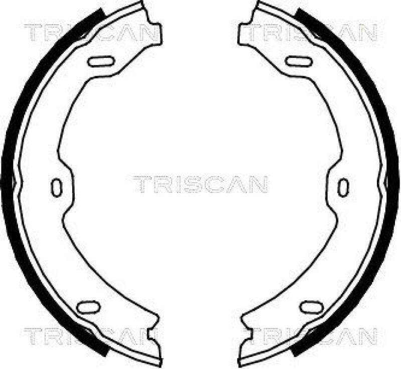 TRISCAN Brake Shoe Set, parking brake