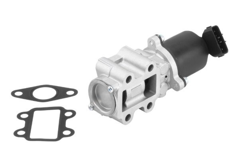 BorgWarner (Wahler) AGR-Ventil