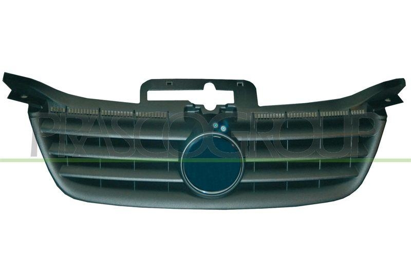 Radiator Grille