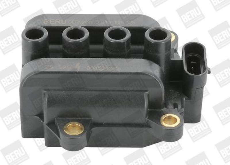 BorgWarner (BERU) Ignition Coil