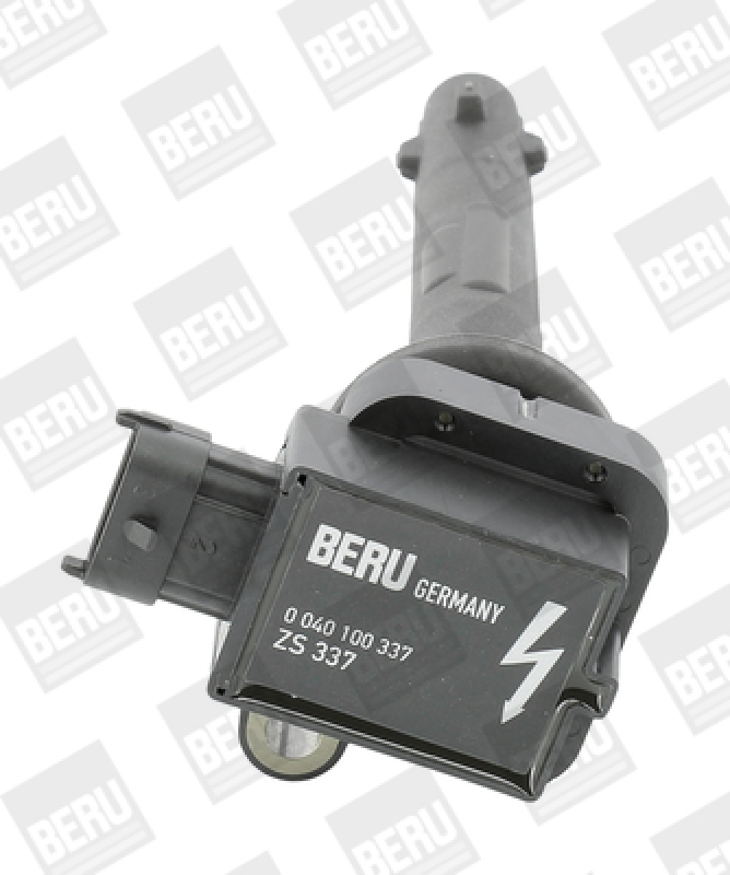 BorgWarner (BERU) Ignition Coil