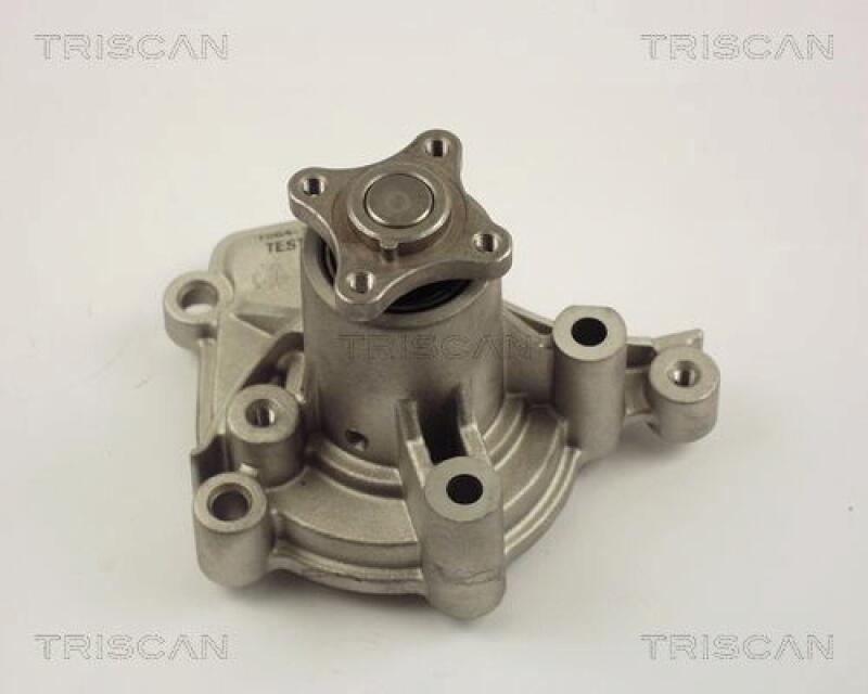 TRISCAN Water Pump