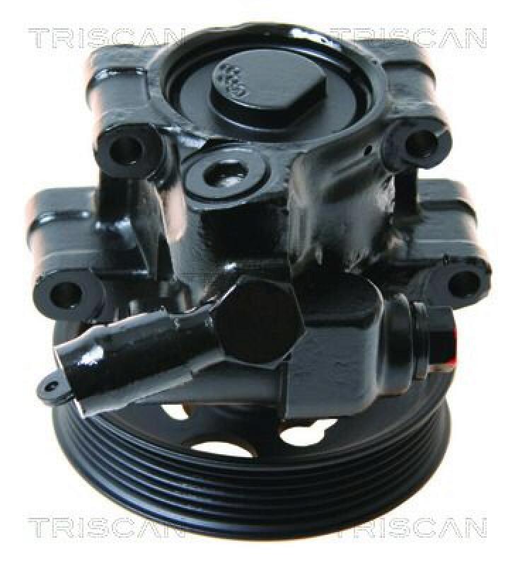 TRISCAN Hydraulic Pump, steering system