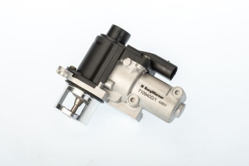 BorgWarner (Wahler) EGR Valve