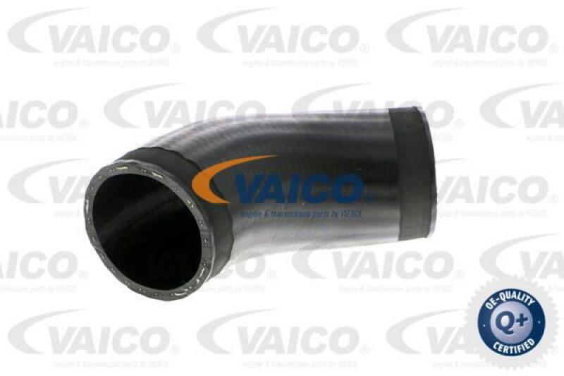VAICO Charger Air Hose Q+, original equipment manufacturer quality