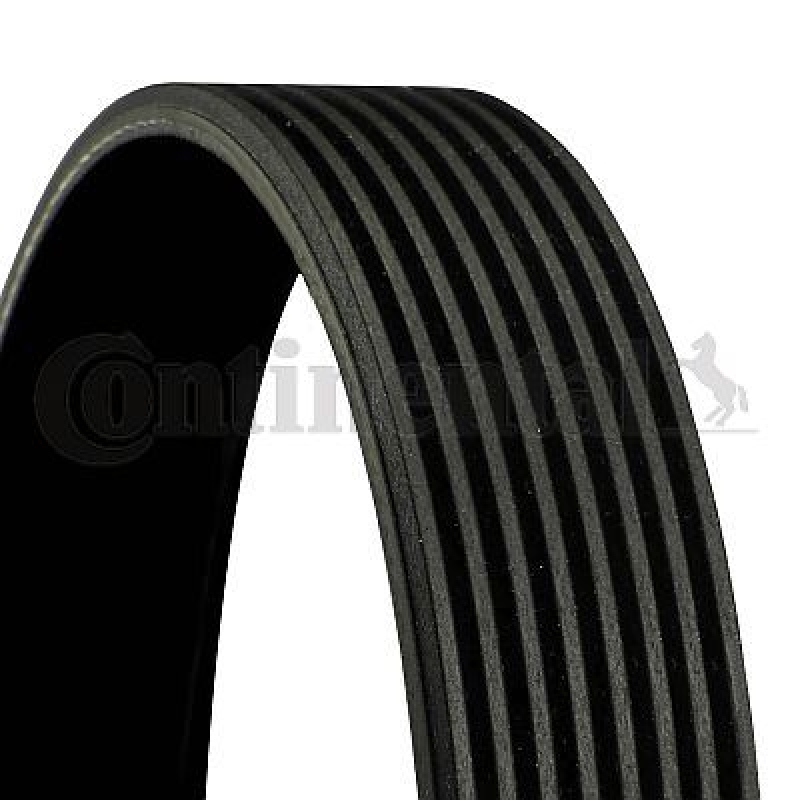 CONTINENTAL CTAM V-Ribbed Belt