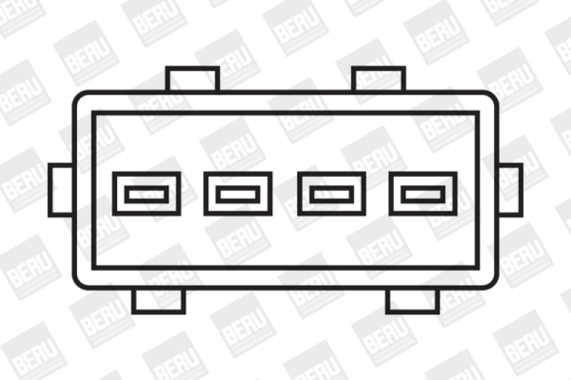 BorgWarner (BERU) Zündspule