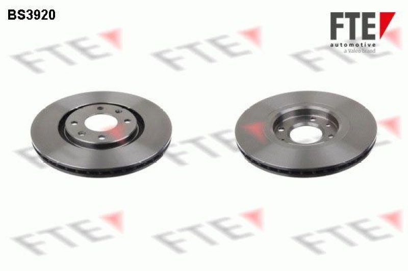 2x FTE Brake Disc