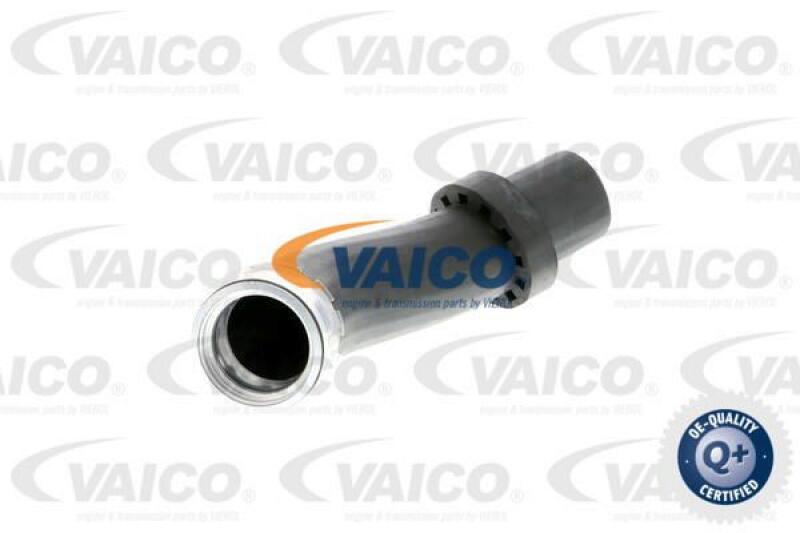 VAICO Charger Air Hose Q+, original equipment manufacturer quality