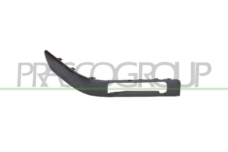 Trim/Protective Strip, bumper