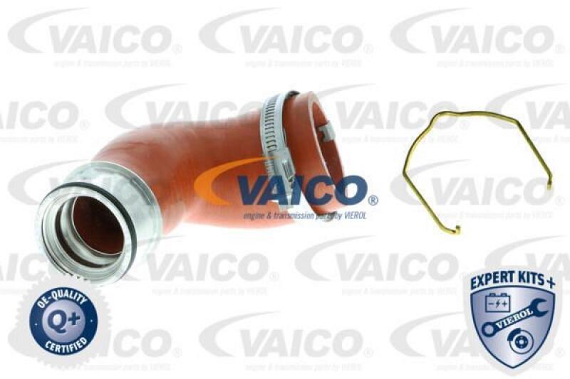 VAICO Charger Air Hose EXPERT KITS +