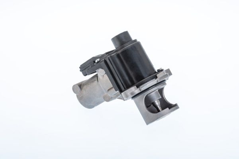 BorgWarner (Wahler) EGR Valve