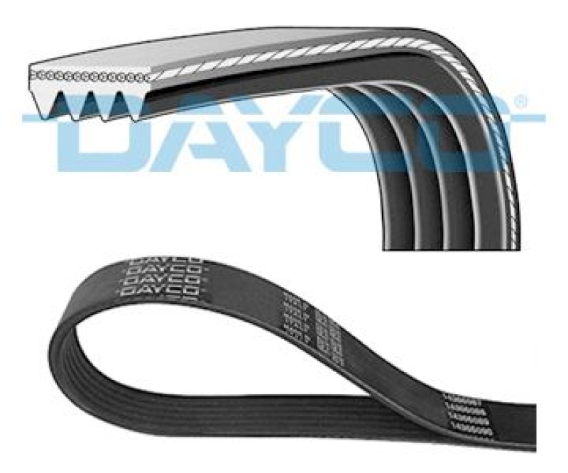 DAYCO V-Ribbed Belt