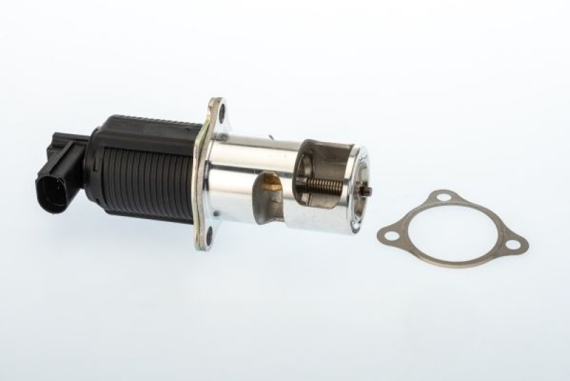 BorgWarner (Wahler) EGR Valve