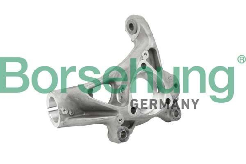 Borsehung Steering Knuckle, wheel suspension