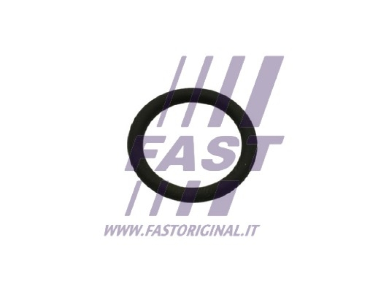 FAST Dichtung, AGR-Ventil