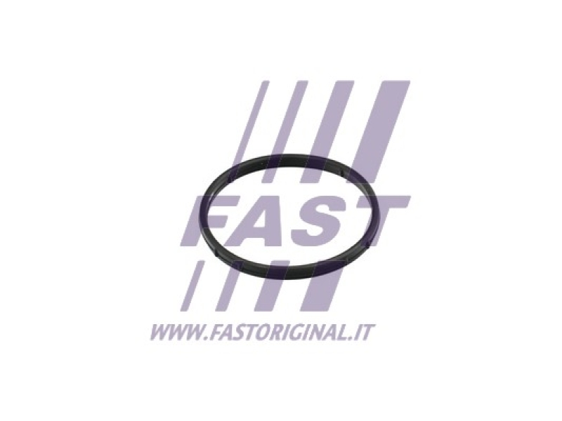 FAST Dichtung, AGR-Ventil