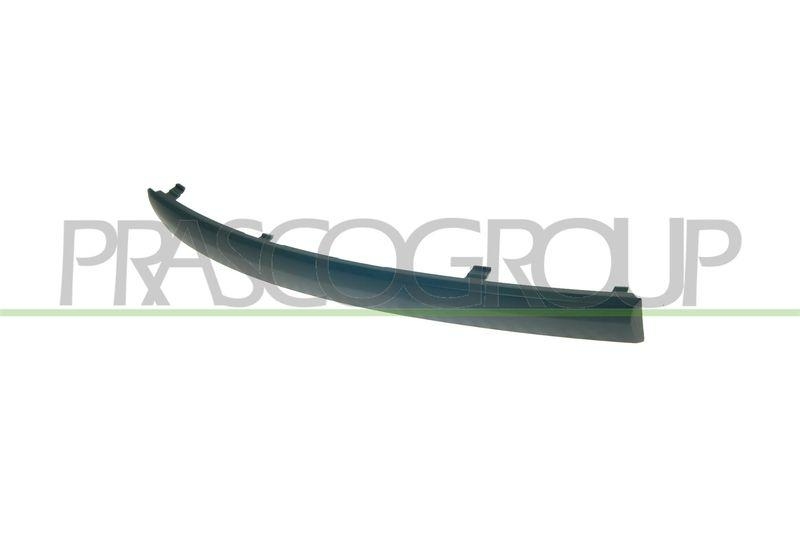 Trim/Protective Strip, bumper Premium