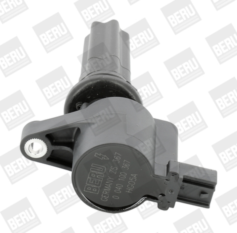 BorgWarner (BERU) Ignition Coil