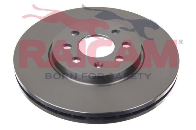 2x RAICAM Brake Disc