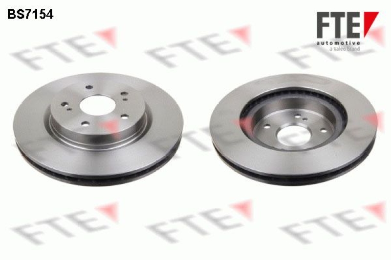 2x FTE Brake Disc