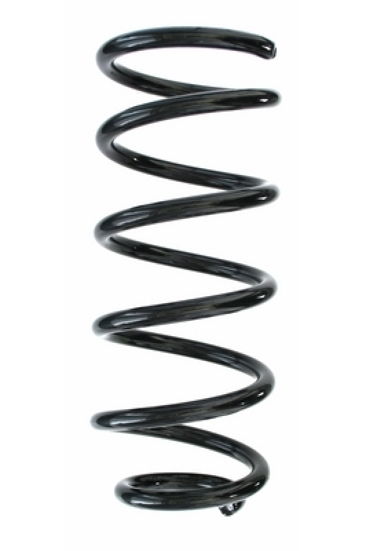 SPIDAN Suspension Spring