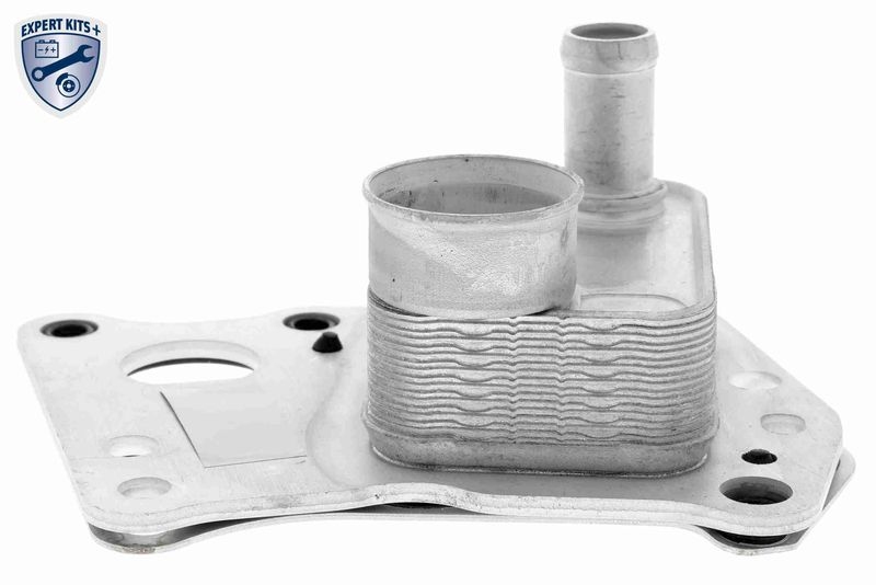 VEMO Oil Cooler, engine oil EXPERT KITS +