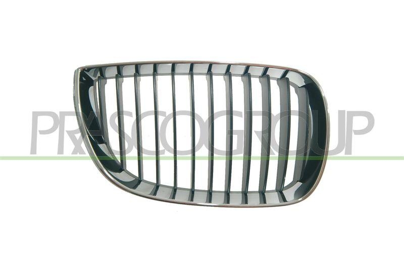 Radiator Grille Premium