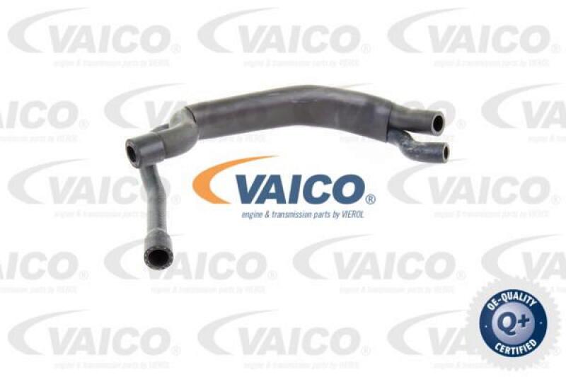 VAICO Breather Hose, expansion tank Q+, original equipment manufacturer quality