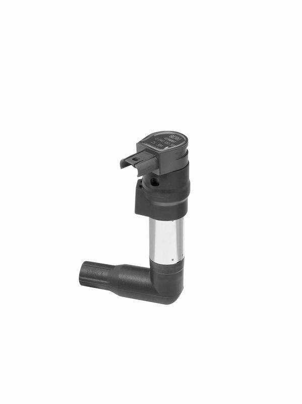 BorgWarner (BERU) Ignition Coil