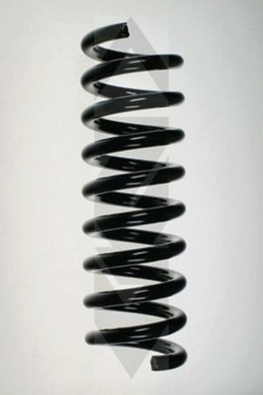 SPIDAN Suspension Spring