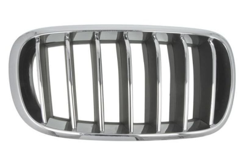 BLIC Radiator Grille