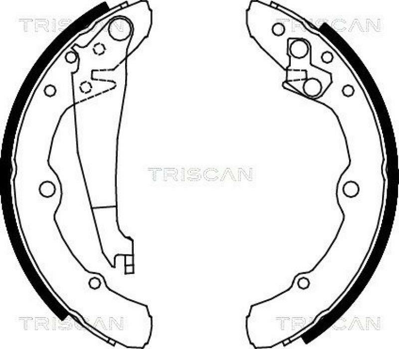 TRISCAN Brake Shoe Set