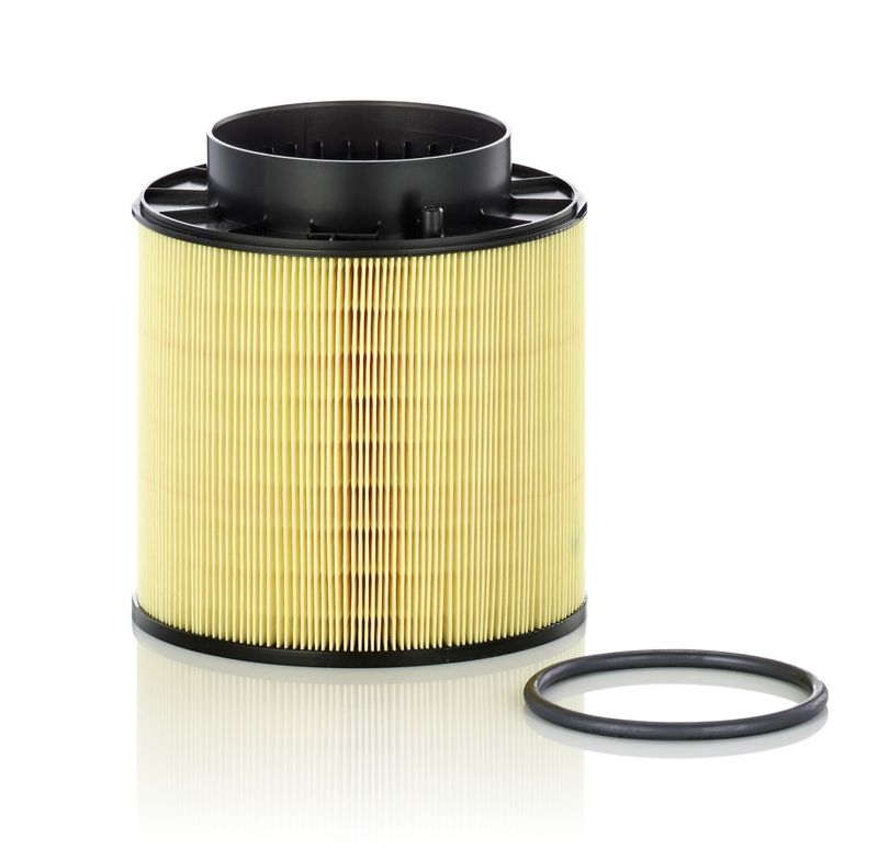 MANN-FILTER Air Filter