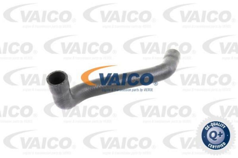 VAICO Radiator Hose Q+, original equipment manufacturer quality