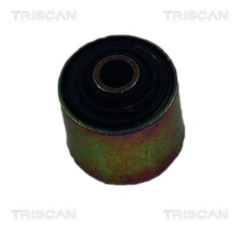 TRISCAN Mounting, control/trailing arm