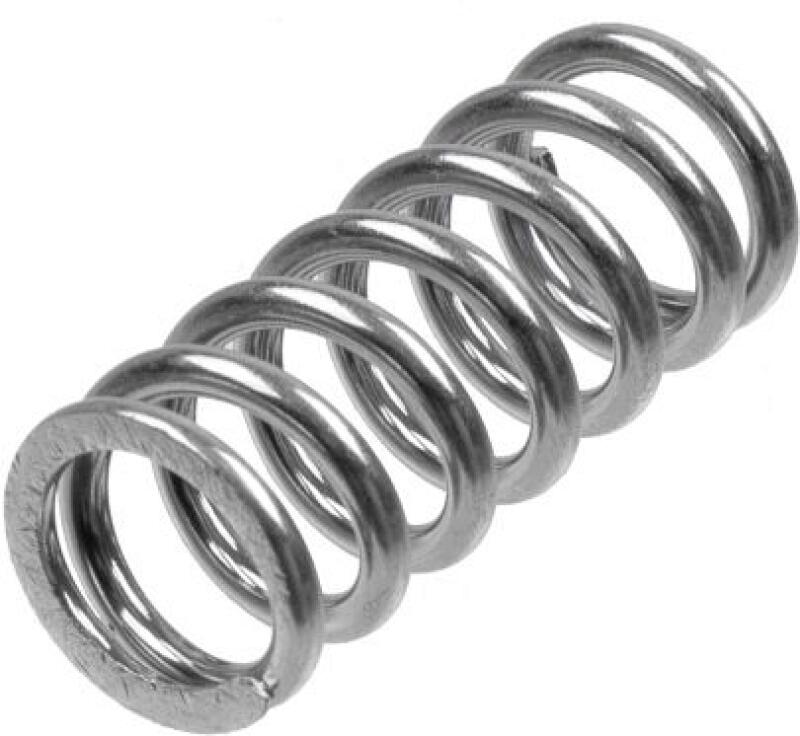 TRW Clutch Spring Set