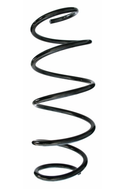 SPIDAN Suspension Spring