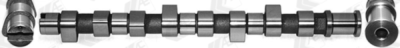 AE Camshaft