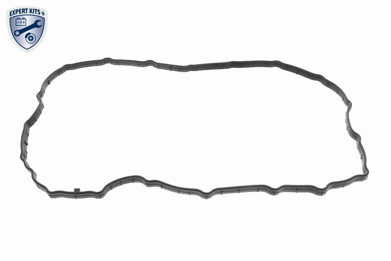 VAICO Dichtung, Ölwanne-Automatikgetriebe Original VAICO Qualität