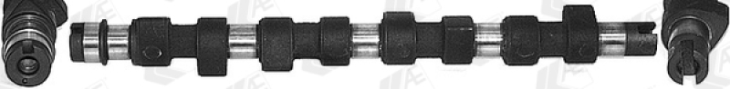 AE Camshaft