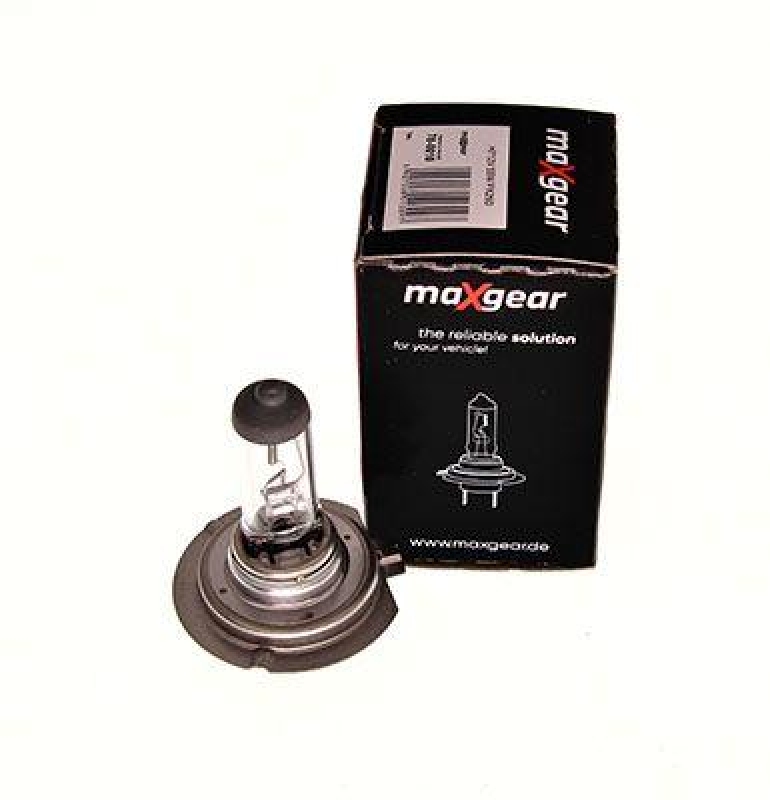 MAXGEAR Glühlampe, Hauptscheinwerfer