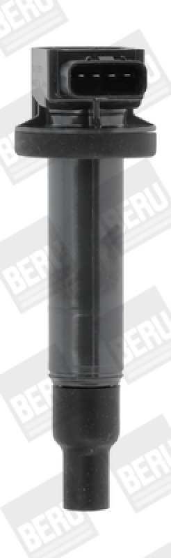 BorgWarner (BERU) Ignition Coil