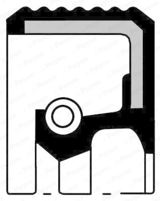 PAYEN Shaft Seal, camshaft