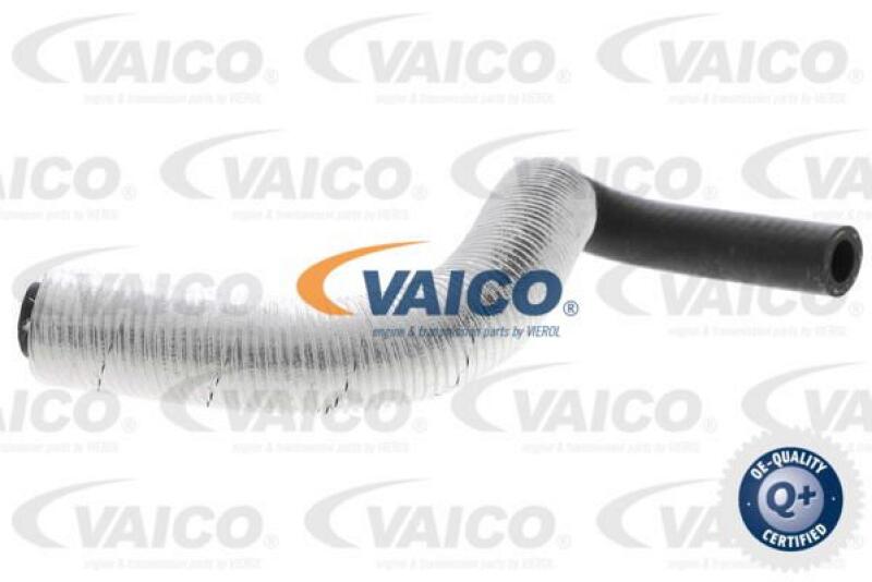 VAICO Radiator Hose Q+, original equipment manufacturer quality