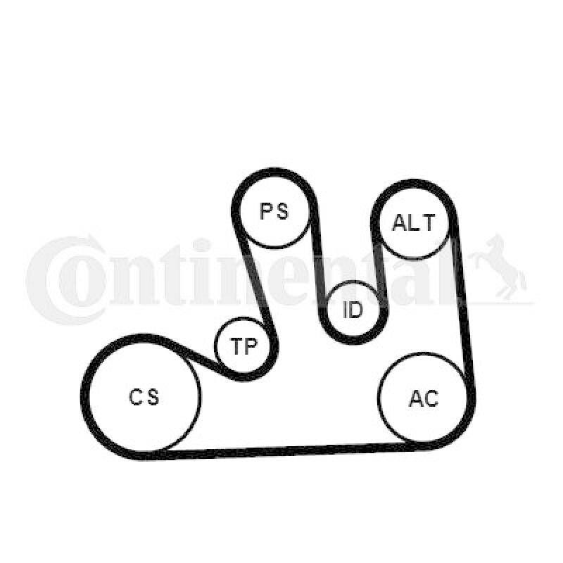 CONTINENTAL CTAM Wasserpumpe + Keilrippenriemensatz
