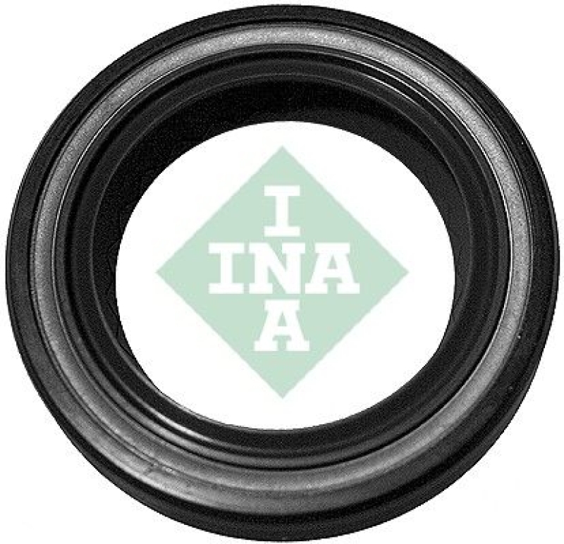 INA Shaft Seal, crankshaft