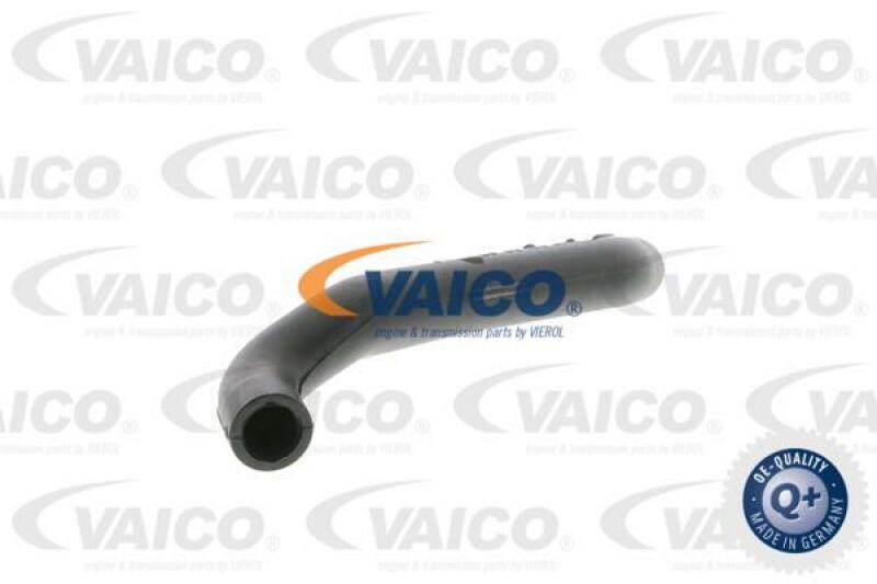 VAICO Hose, air supply Q+, original equipment manufacturer quality