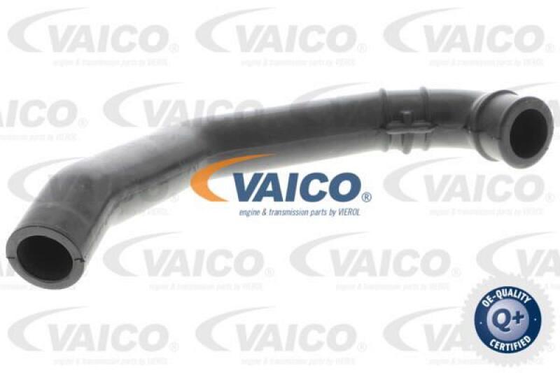 VAICO Hose, air supply Q+, original equipment manufacturer quality