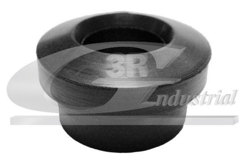 3RG Bushing, leaf spring